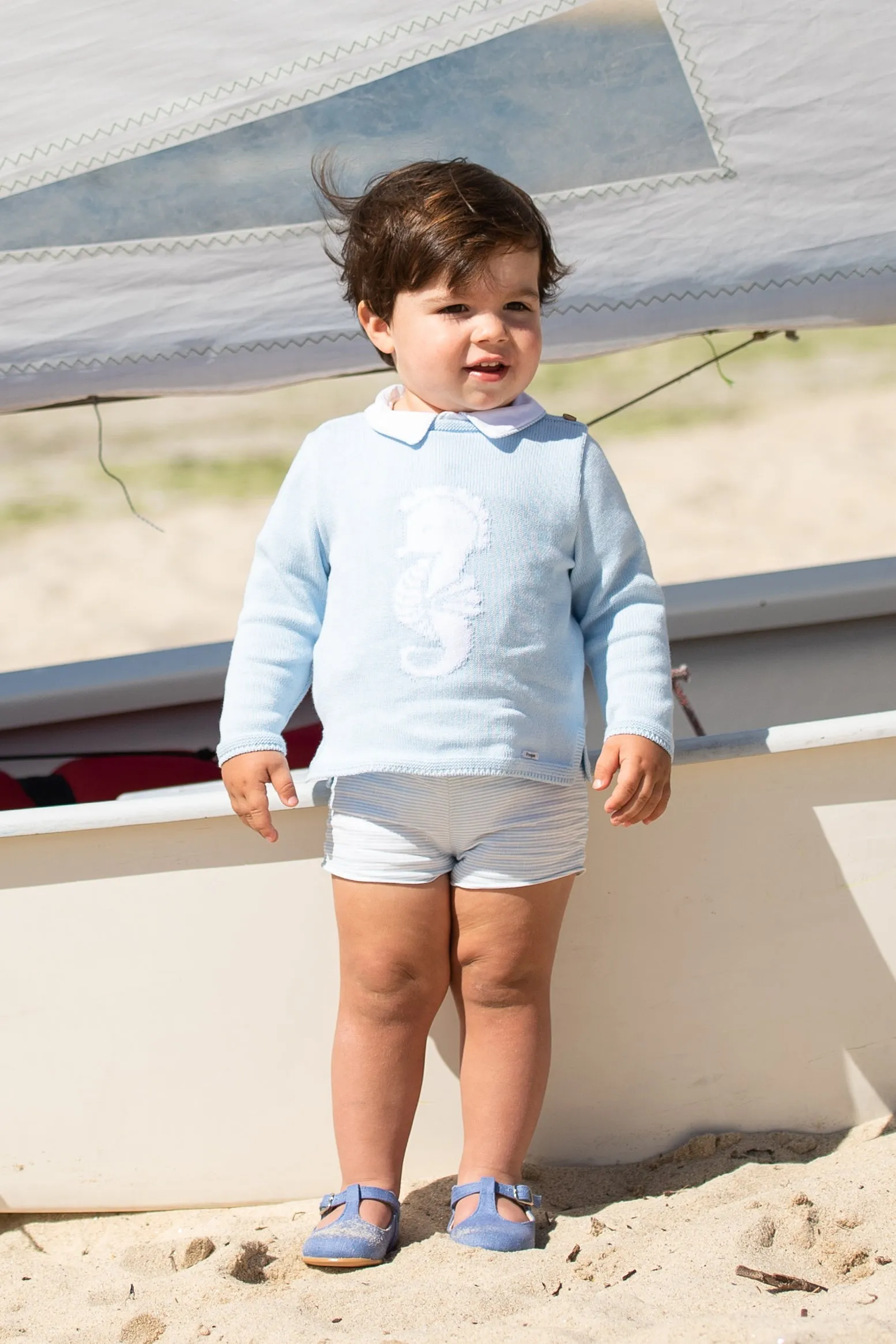 "Beau" Blue Knit Seahorse Jumper, Shirt & Shorts